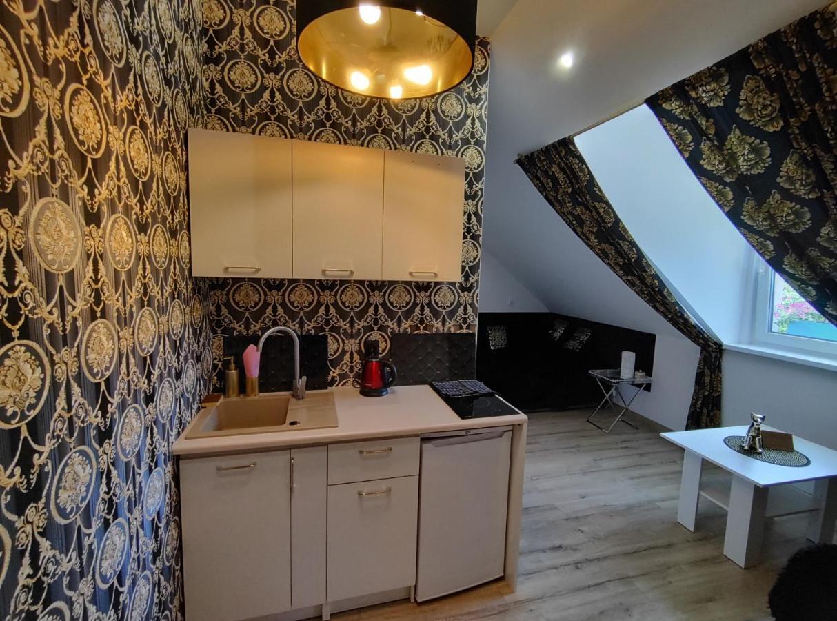 Apt Fiona4 Centrum700M Parking Bezplatny Monitorowany Salon Z Sypialnia Tv Lazienka Kuchnia Rekuperacja Karpacz Eksteriør billede